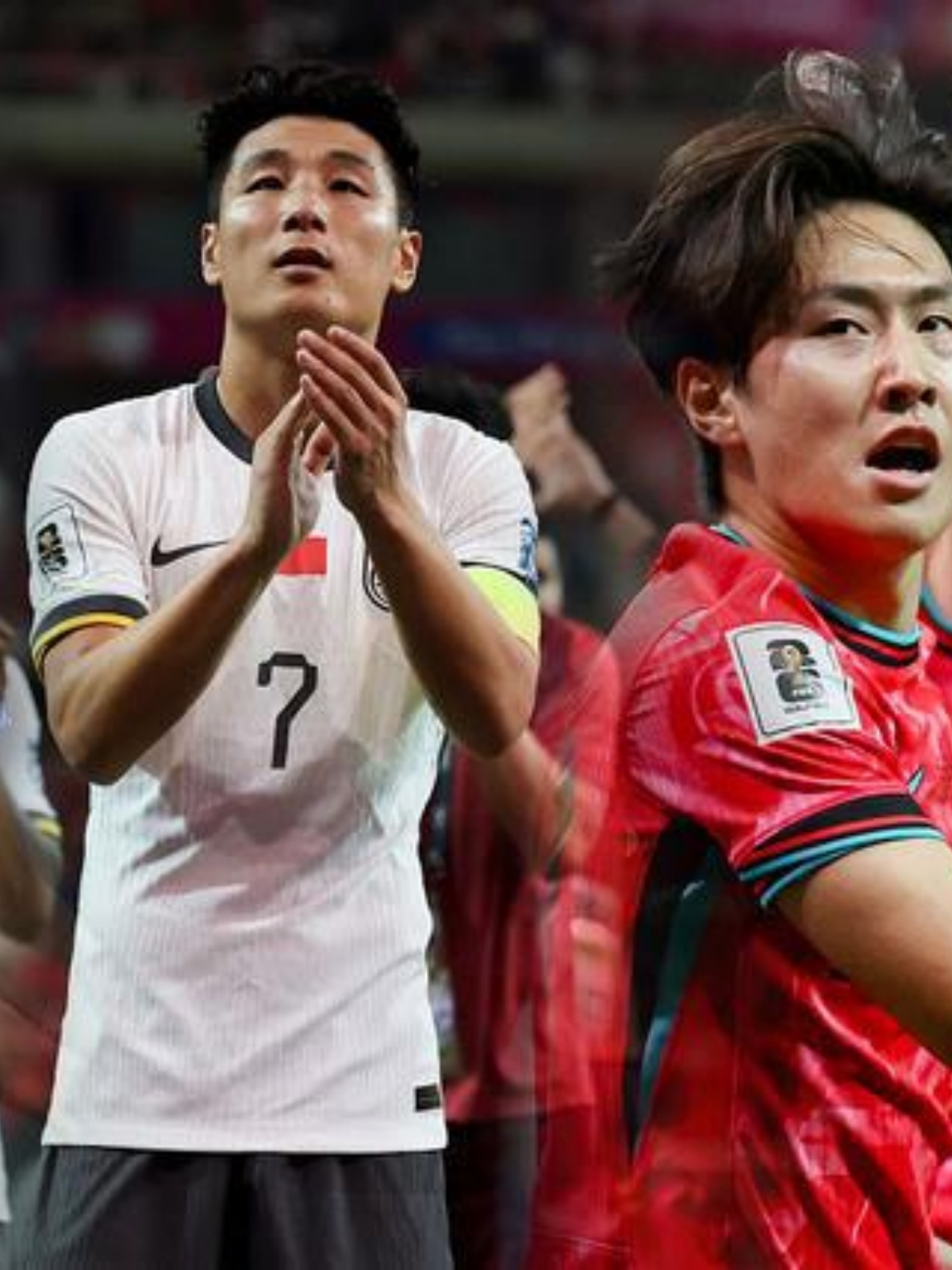 问鼎- 惊险生活电视剧全集免费观看 